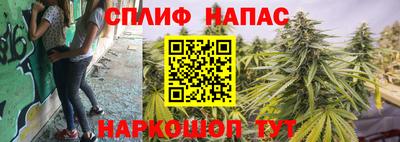 Альфа ПВП Сланцы