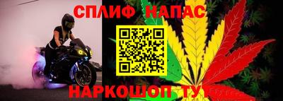 Альфа ПВП Сланцы